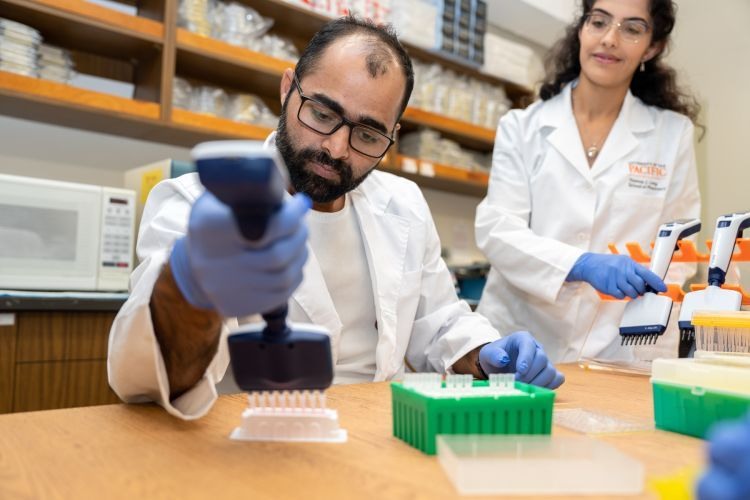 Experimental work in the Rabiee Laboratory